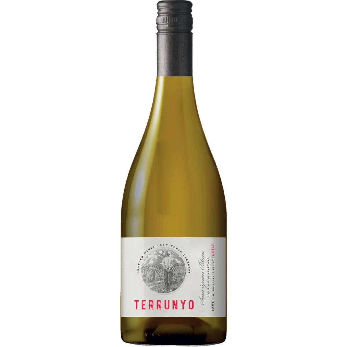 TERRUNYO SAUV BLANC 2023