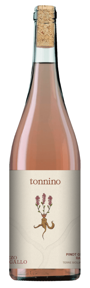 TONINO PIZZO DI GALLO ORANGE ORGANIC WINE TERRE SICILIANE IGP